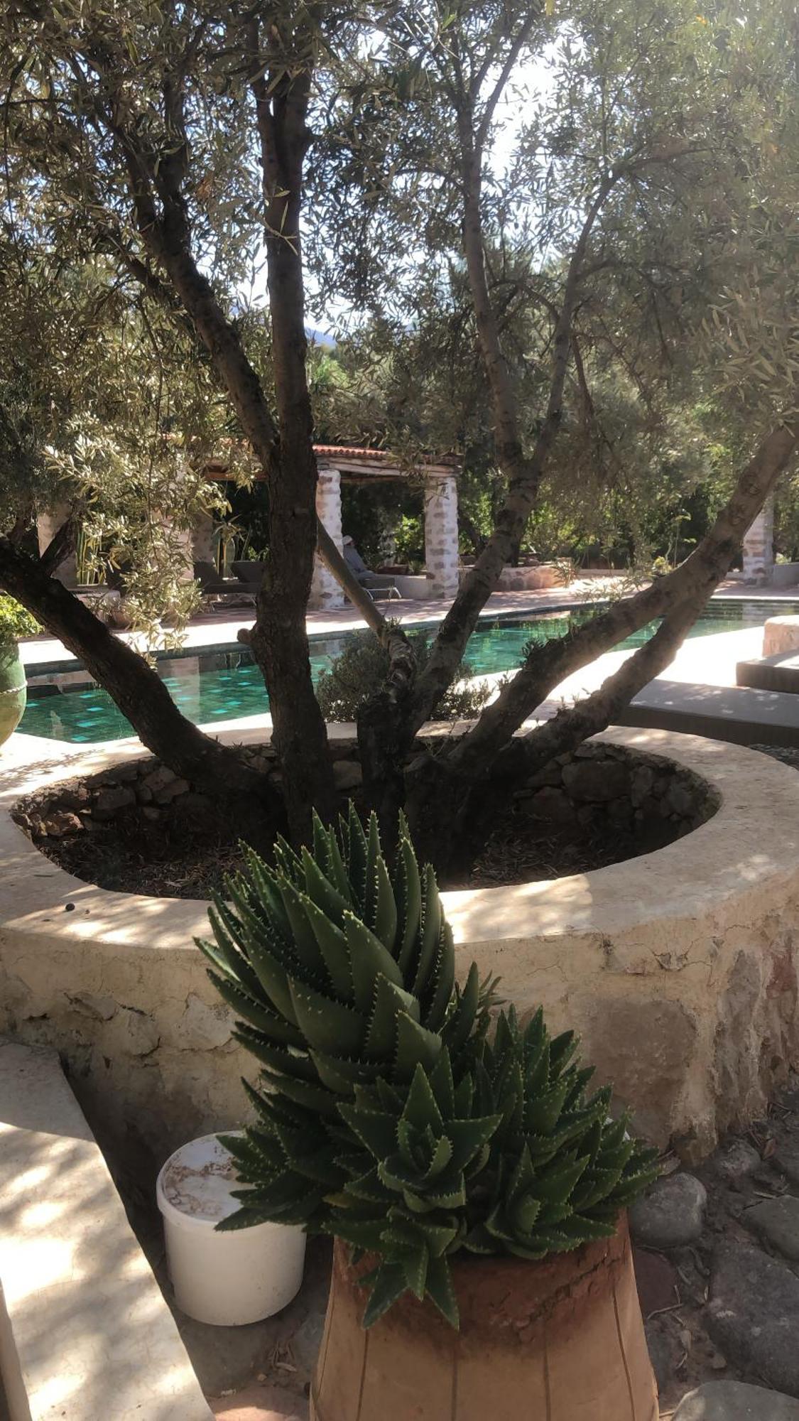 Sel D Ailleurs, Atlas Mountain Retreat - Adults Only Ouirgane Exterior foto