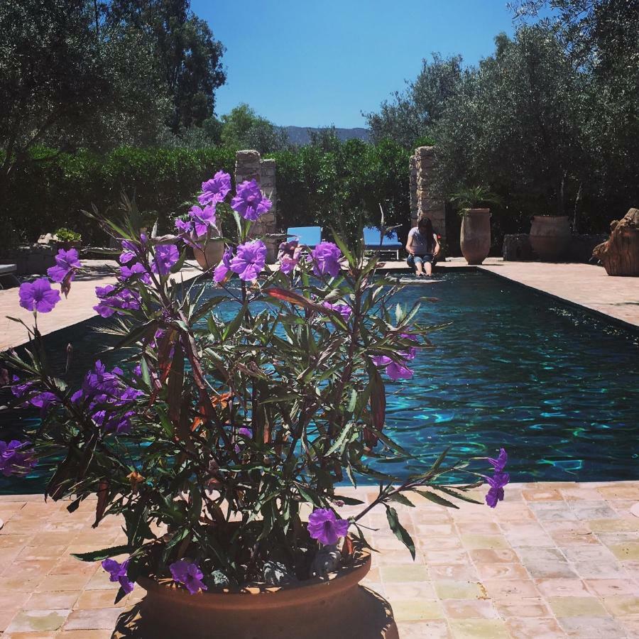 Sel D Ailleurs, Atlas Mountain Retreat - Adults Only Ouirgane Exterior foto